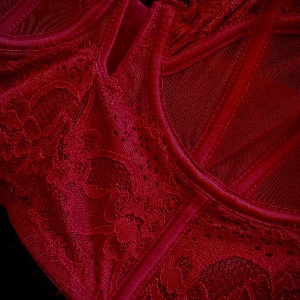 Lace Bustier - Picture 4 of 7